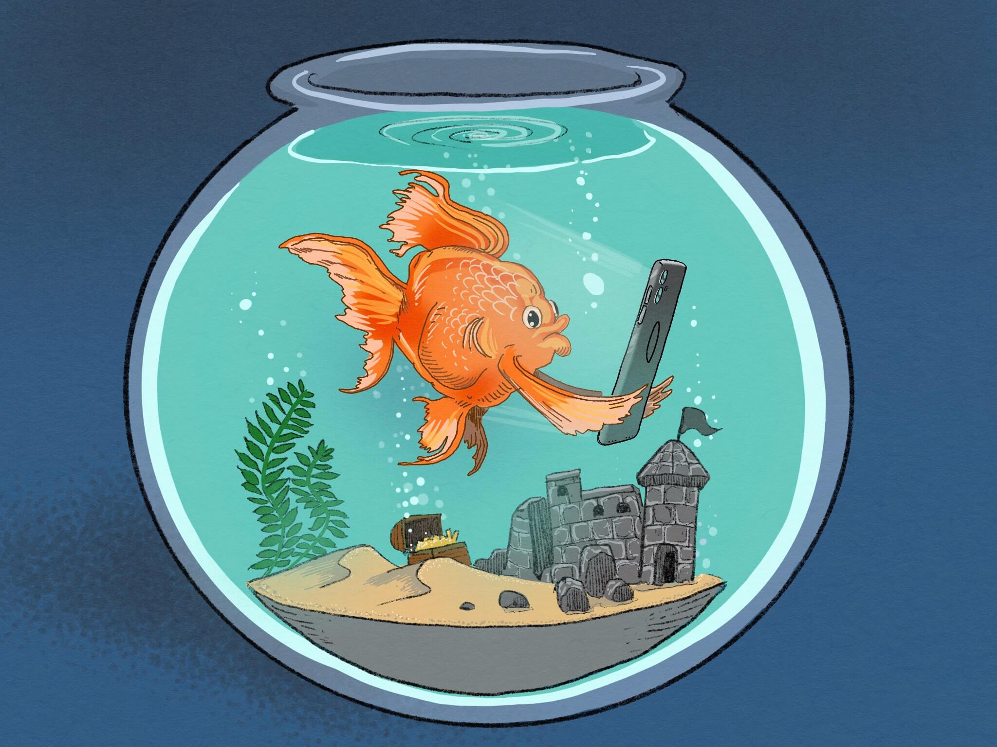 The search for attention